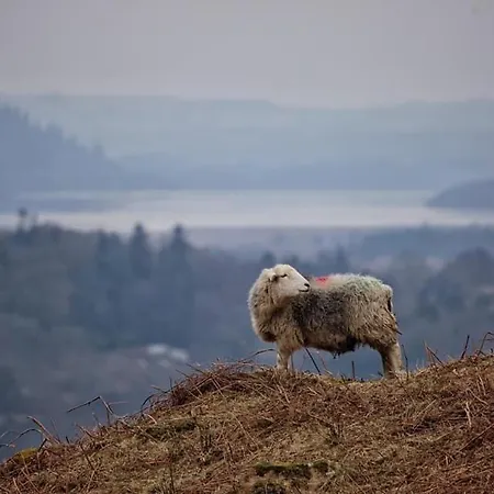Belle Vue, 5 Bedroom House Ξενοδοχείο
